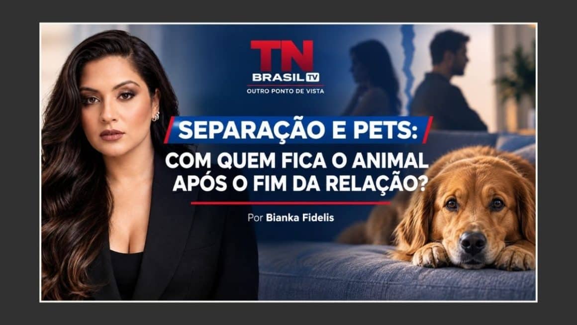 SEPARAÇÃO E PETS: COM QUEM FICA O ANIMAL APÓS O FIM DA RELAÇÃO? SEPARAÇÃO E PETS: COM QUEM FICA O ANIMAL APÓS O FIM DA RELAÇÃO?