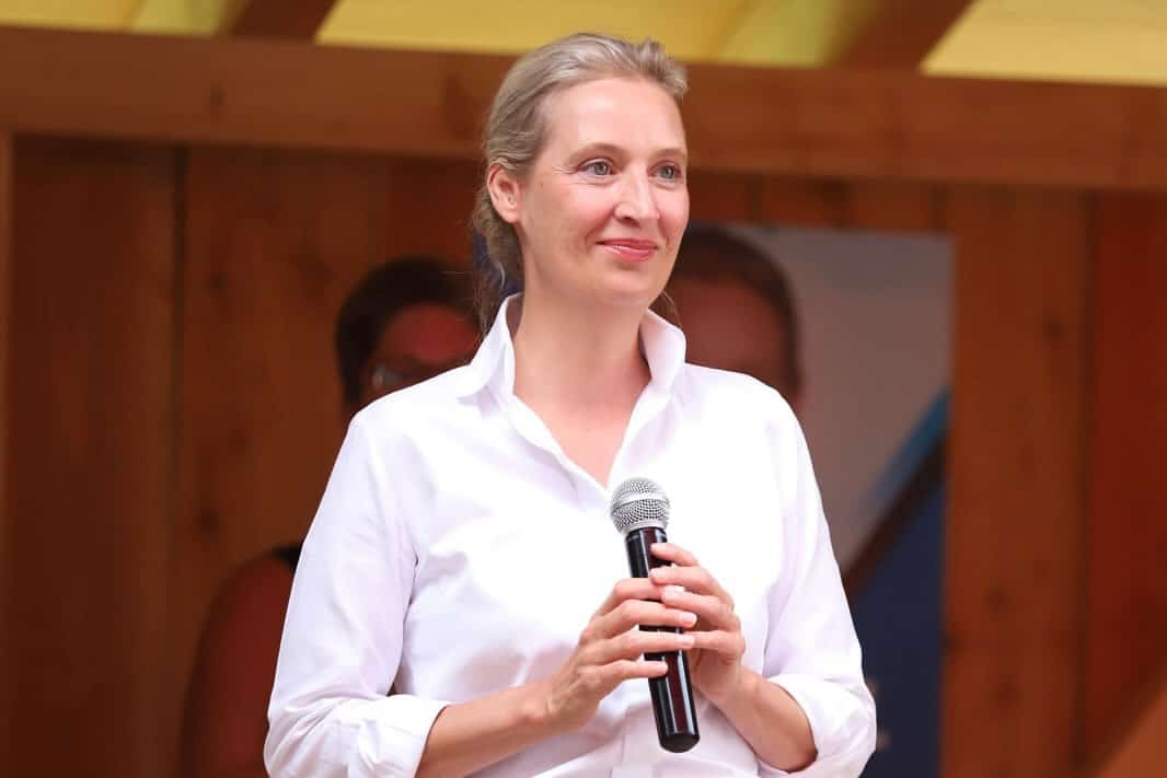 Alemanha: AfD começa a planear como poderá participar no governo Card informativo do portal TN Brasil TV com o selo "Destaques Mundo". A imagem mostra Alice Weidel, líder da AfD, sorrindo e a segurar num microfone com ambas as mãos, vestindo uma camisa branca. Na parte inferior, destaca-se o título "Alemanha: AfD começa a planear como poderá participar no governo" acompanhado de um resumo textual.